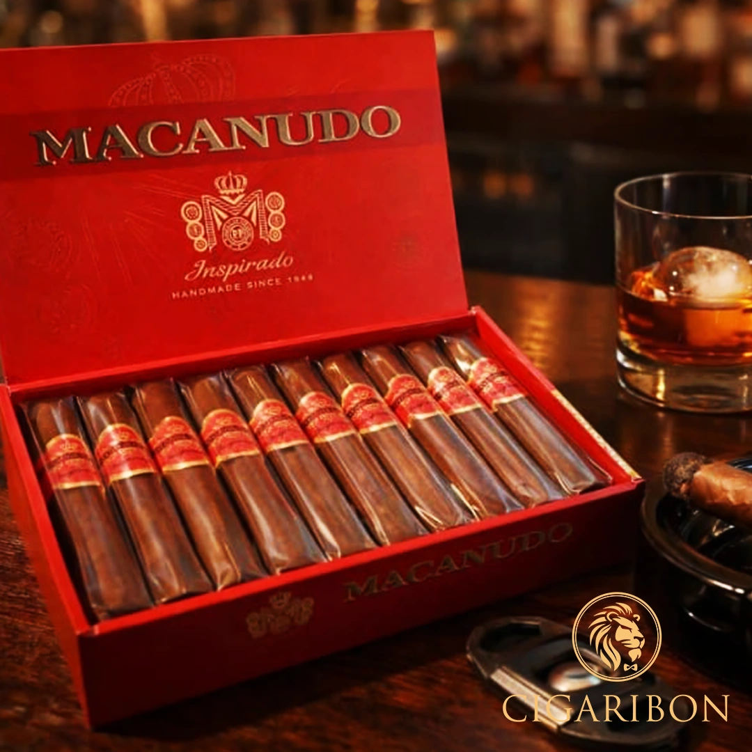 MACANUDO ORANGE ROBUSTO