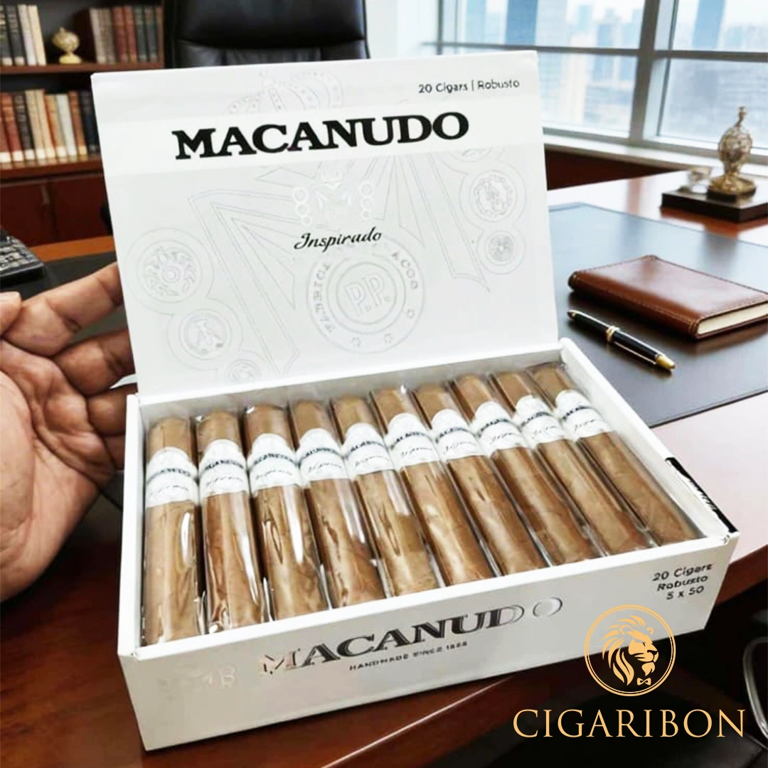 MACANUDO WHITE ROBUSTO