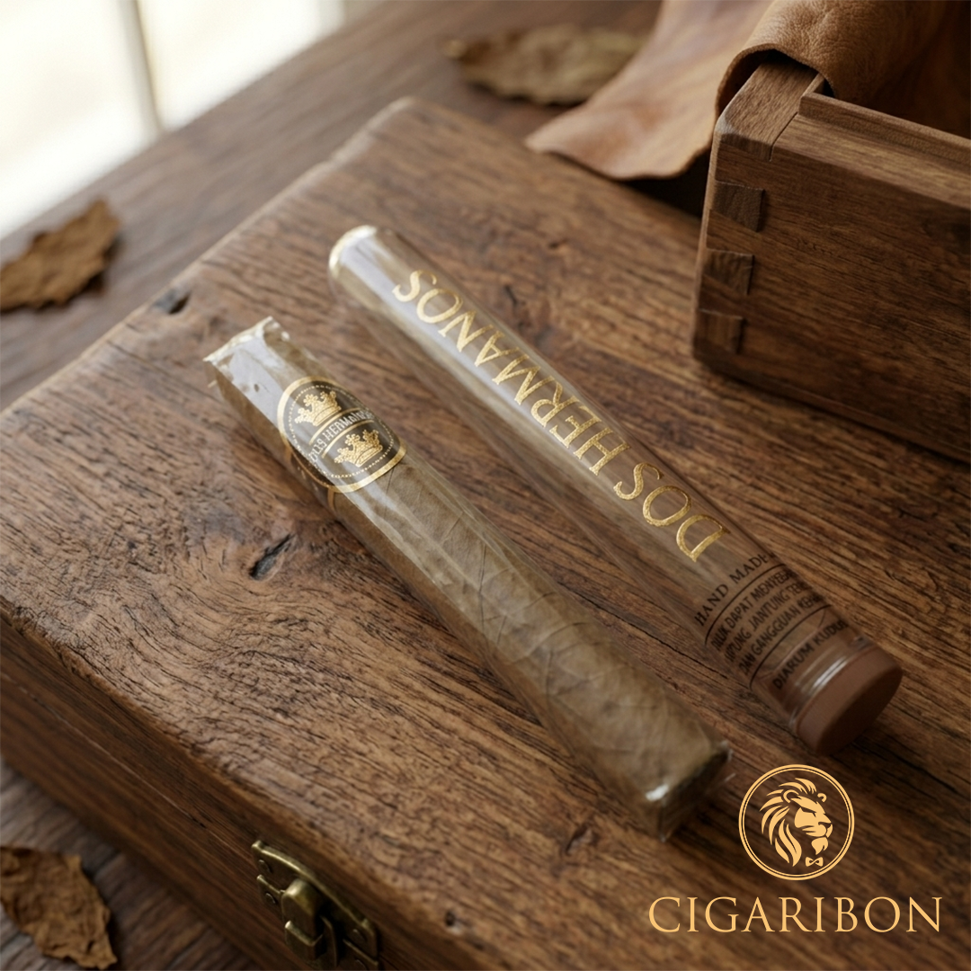 DOS HERMANOS ROBUSTO GLASSTUBE