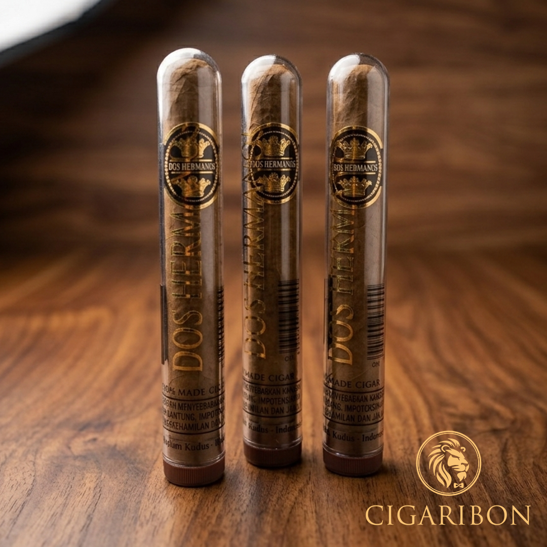DOS HERMANOS ROBUSTO GLASSTUBE