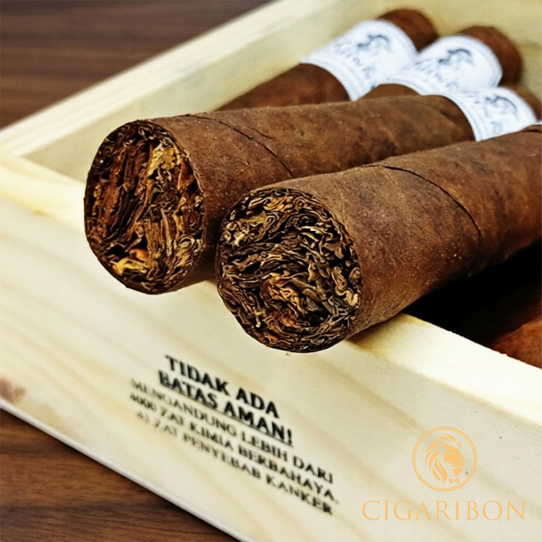 JOHNNY SHORT ROBUSTO